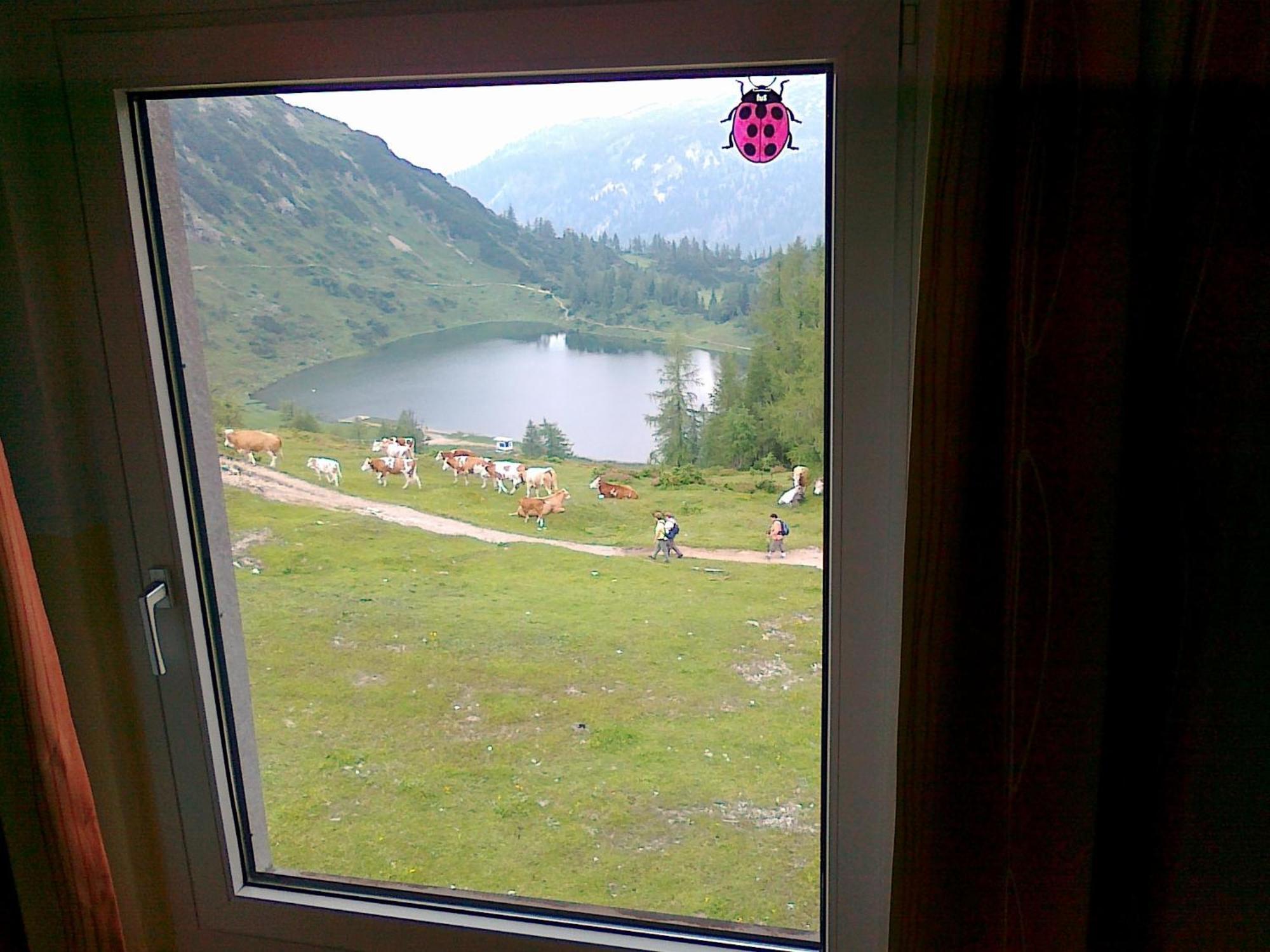 Berghof Tauplitzalm Hotel