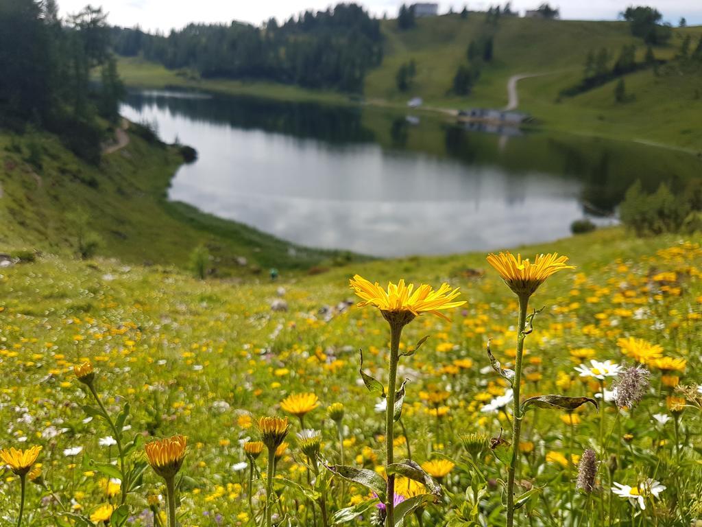 Berghof Tauplitzalm